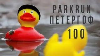 parkrun Петергоф 100-й забег | видео Артёма Важинского