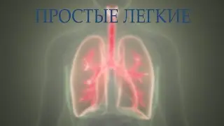 Простые легкие