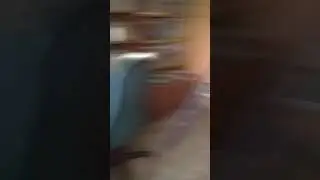Задрот в компе