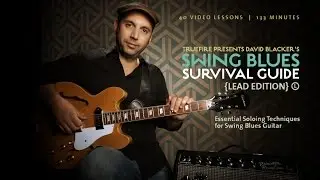 Swing Blues Survival Guide: Lead - Introduction - David Blacker
