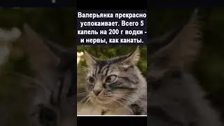 рецепт дня 