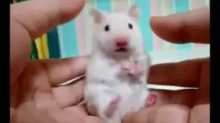 So cosa hai Fatto