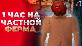 РАБОТАЮ ЧАС НА ФЕРМЕ В GTA SAMP
