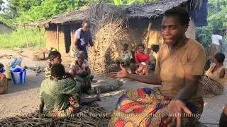 Voices from the Forest (BaYaka Pygmies in the Congo Basin)