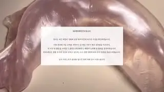 엔시티127 태일 성범죄로 탈퇴 네이트판 시리즈 액괴 네이트판 소시액 야시꾸리 썰 네이트판 네이트판 썰 짤 대시액 공론화 시리즈 액괴 소규모 공사장 네이트판 음주운전