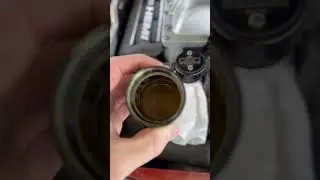 Do Catch Cans Actually Work? 2021 Widebody Hellcat