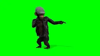 Monkey Dancing Green Screen