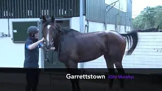 Paul Ferguson's Jumpers To Follow - Garrettstown