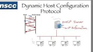 Application Layer Protocol #2: DHCP, E-Mail,