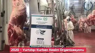 2020   Yurtdışı Kurban Kesim Organizasyonu