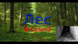 2 Cезон Мини Vloga [Поход в Леc] №2 второй подвал