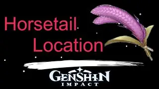 Horsetail Location Genshin Impact