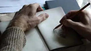 24  ШИШКА