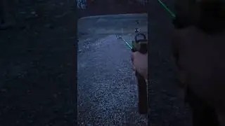 P80 Glock 19 