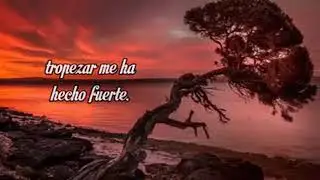 MI AMADA SOLEDAD