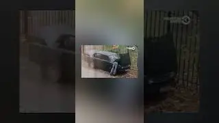 Времена года Классика.