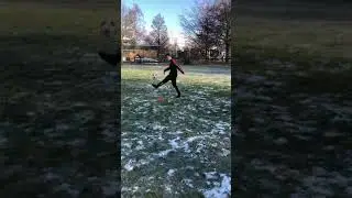 Close control training