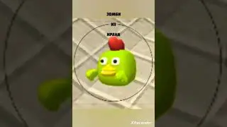 Из каких стран мобы?