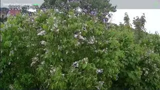 Camera Timelapse Tukums 2022