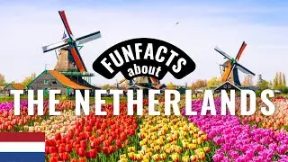 10 Surprising Facts about the Netherlands! Did you know this?! 