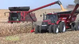 Nitrogen Stabilizers 