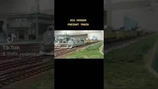 Diesel Locomotives at work