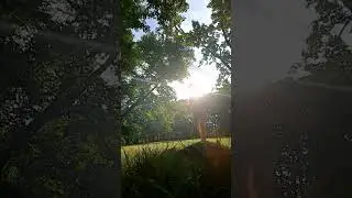#училасьделатьколесо