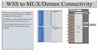Physical Connectivity between Ciena Mux/Demux (CMD44) and WSS (1x9)in Signal Flow of DWDM/CDC