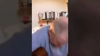 Собака с вставной челюстью
