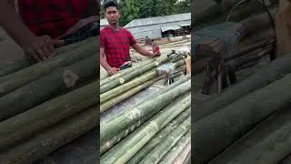 বিশাল বাঁশের হাট।লোকেশন:তেবাড়িয়া নাগরপুর টাঙ্গাইল। #হাট #বাঁশ #village #বাংলাদেশ