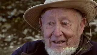 Call of the Forest | Trailer