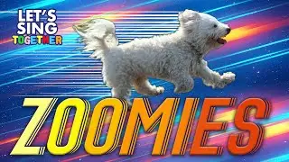 ZOOMIES (THE SONG)