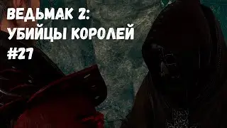 МЕНЯ БЕСЯТ МАГИ! (Прохождение Ведьмак 2: Убийцы королей #27)