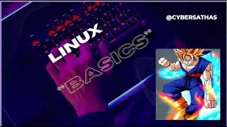 Linux Basics for Beginners