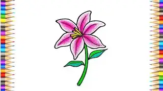 How to Draw Lily Flower || Lily Flower Drawing Step by Step || Simple Flower Drawing for Beginner's.