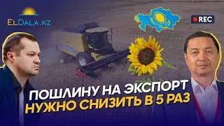Grain and oilseed market in Kazakhstan 2023: bans, restrictions, quotas