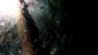 Relitto Eudokia - Immersione Notturna | Night Dive Evdokia II