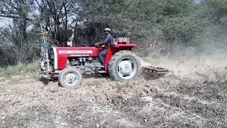 Massey MF 240 Tractor with Tine Cultivator