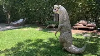 the dog and the dinosaur -who will survive?
