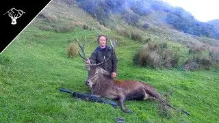 HUNTING BIG STAGS | Late Roar Deer Hunting NZ