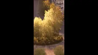 ikonik şehir aracı geri dönüyor.