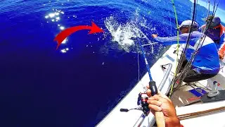 ESSE PEIXE É MUITO FORTE - Pescaria Alto Mar!