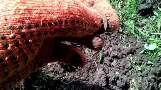 Небольшая прогулка по старым местам....