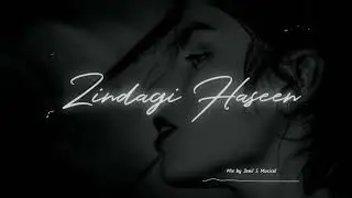 Zindagee Haseen - LOFI Mix ( Sad Version )