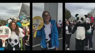 WWF-Türkiye Kimdir? - 2024