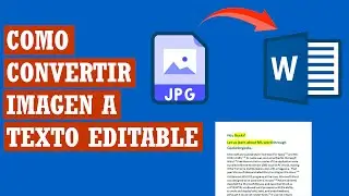 Como convertir una imagen a un texto editable en Word