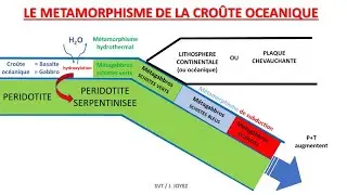 Subduction de la lithosphère et métamorphisme de la croûte océanique