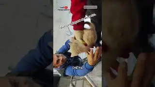 Он Сам Их Выбрал 🥹