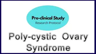 Pre-clinical Study Proposal for Poly-Cystic Ovary Syndrome | Animal Study Model for PCOD