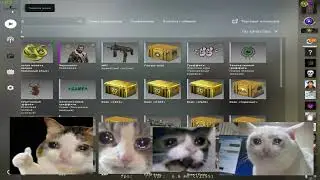 Prime Status Activated :'C